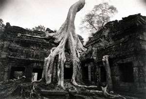 Kenro Izu: Passage to Angkor.