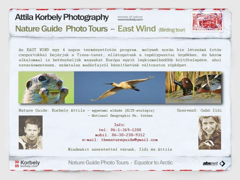 Nature Guide Fotótúrák - EAST WIND - BIRDING TOUR