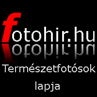 www.fotohir.hu