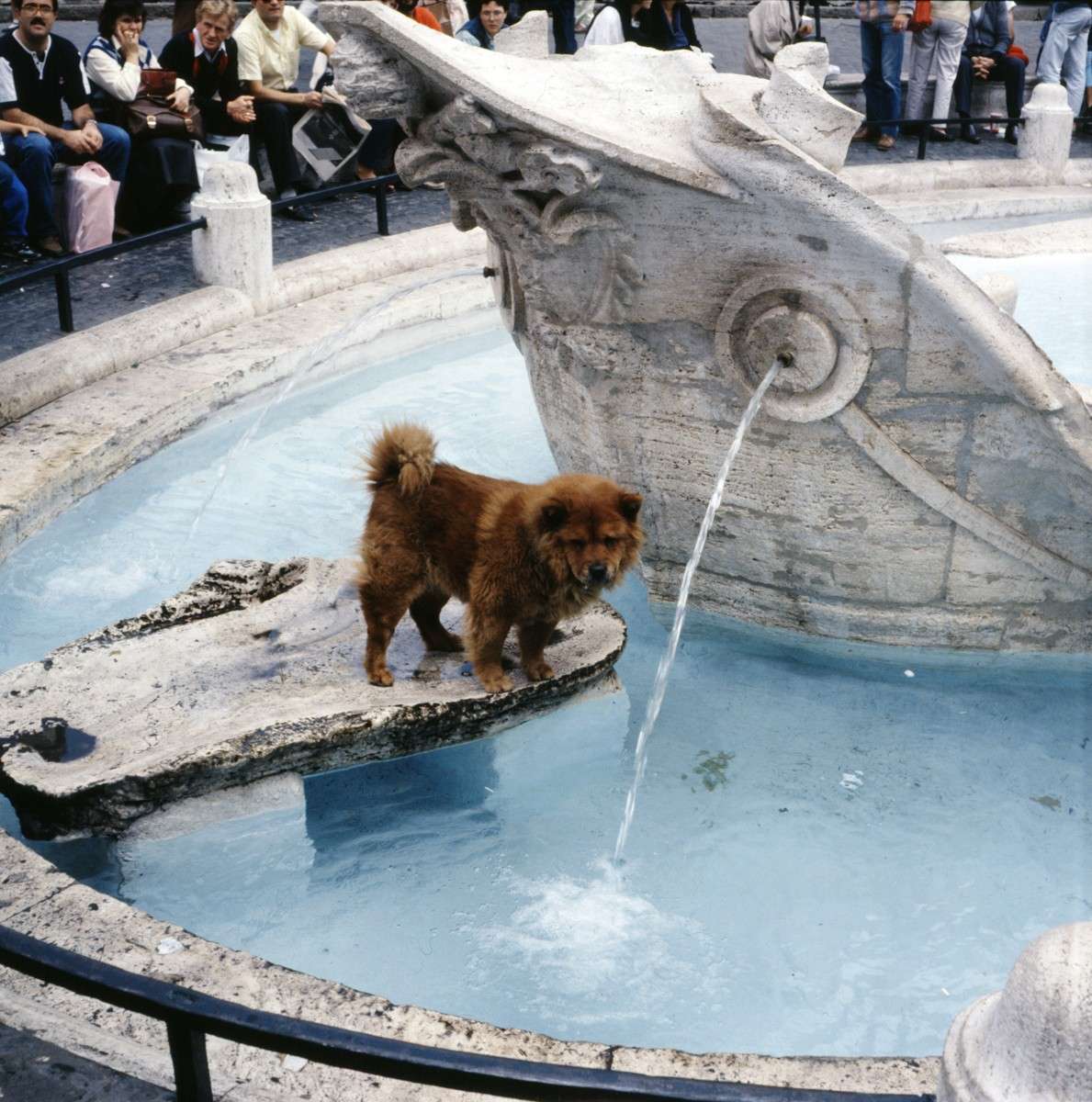 (c) Fotó: Kocsis Iván: Fontana della Barcaccia