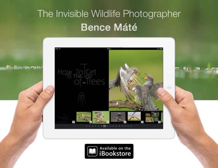 Máté Bence első interaktív könyve iPadre