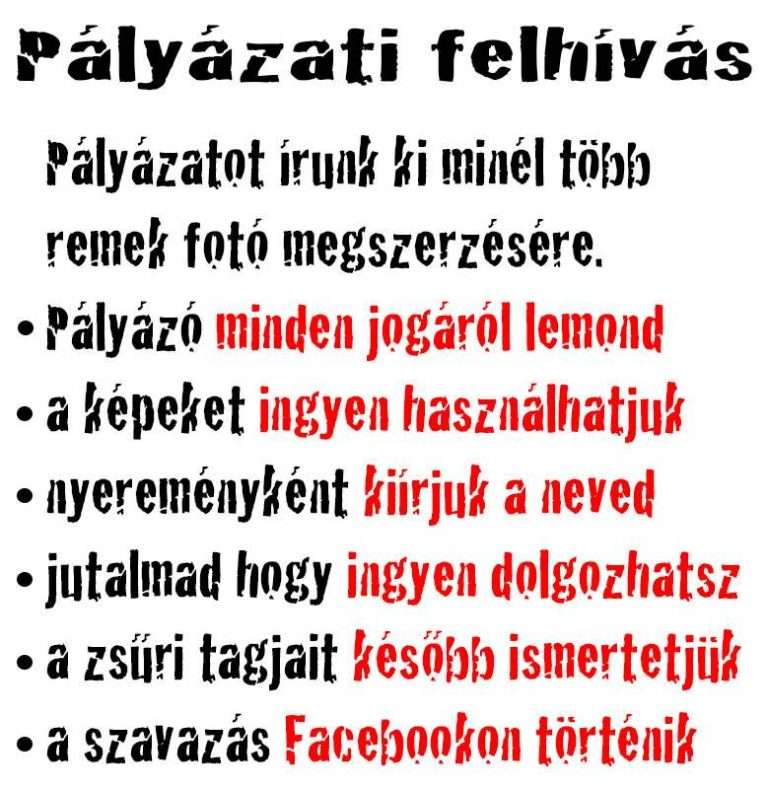 palyazatikiiras-ingyenfoto.jpg