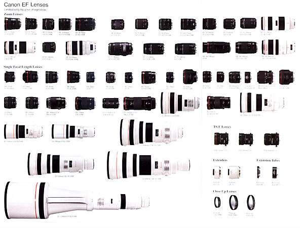 lenses.jpg