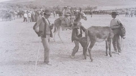 Piaci jelenet Guadalcanalban (Sevilla), 1920., fotó: Antonio Mu?oz Torrado, Fototeca Universidad de Sevilla
