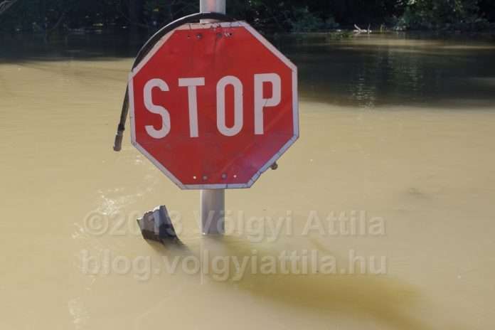 stop-sign-flooded-gemenc-forest-1306143078h-photosvolgyiattilahu.jpg