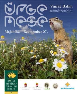 ÜRGE MESE – Vincze Bálint természetfotói: a Magyar Természettudományi Múzeum kiállításának megnyitója