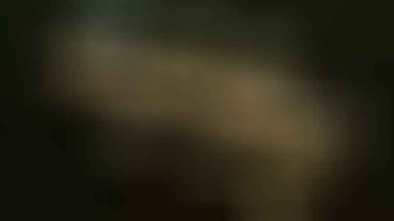 Az Év természetfotósa 2015 győztes képeiből készült diaporámája