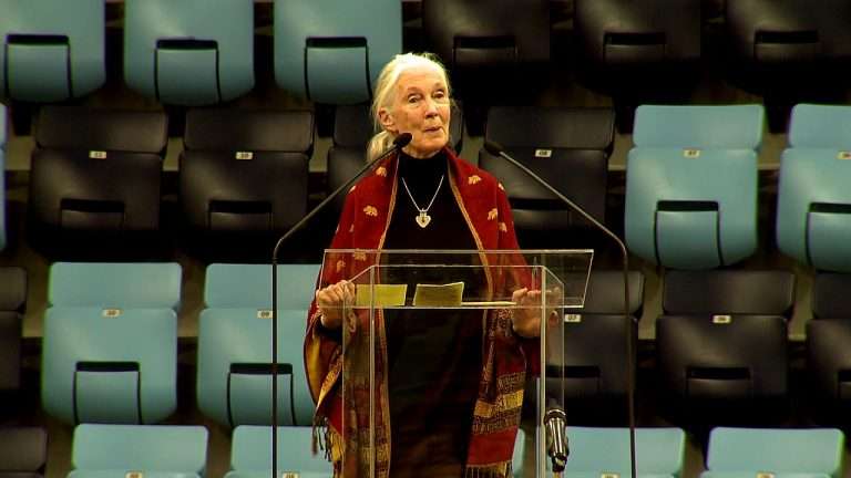 A remény magvai – Dr. Jane Goodall előadása Budapesten