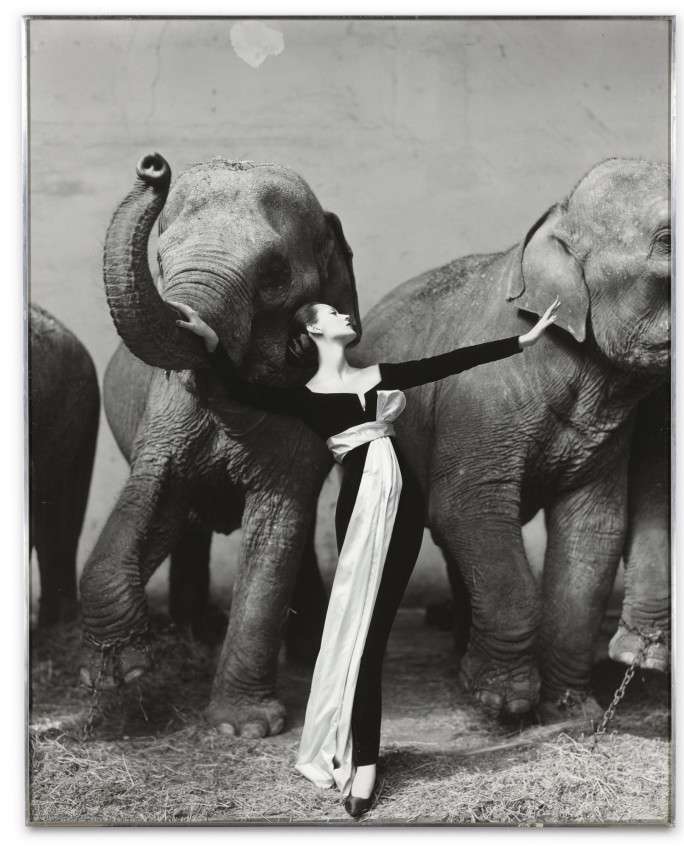 Fotó: Richard Avedon: Dovima with Elephants, Evening Dress by Dior, Cirque d'Hiver, Paris, August 1955
