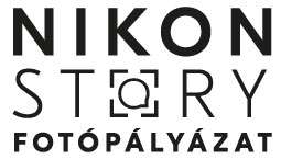 Nikon story logo