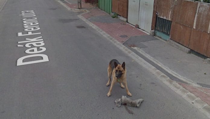Fotó: Google Street View <br />Magyarország, Budaörs, Deák Ferenc utca