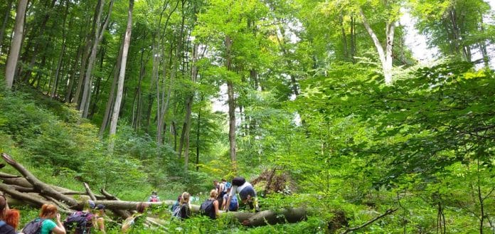 Burok-völgy túra, avagy kalandozás a magyar esőerdőben