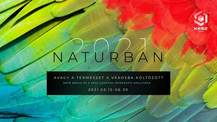 2021 Naturban – Avagy a természet a városba költözött – Máté Bence és a KÉSZ Csoport kiállítása