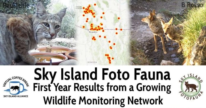 Coffee Break: FotoFauna—First Year Results from a Growing Wildlife Monitoring Network