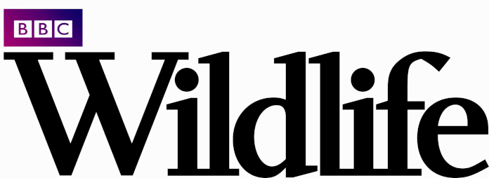 BBC Wildlife Magazine Monthly Photo Contest for July