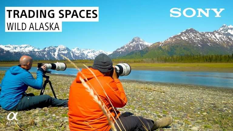 Trading Spaces Part 1: Wild Alaska | Sony Artisans of Imagery Colby Brown & Jermaine Horton