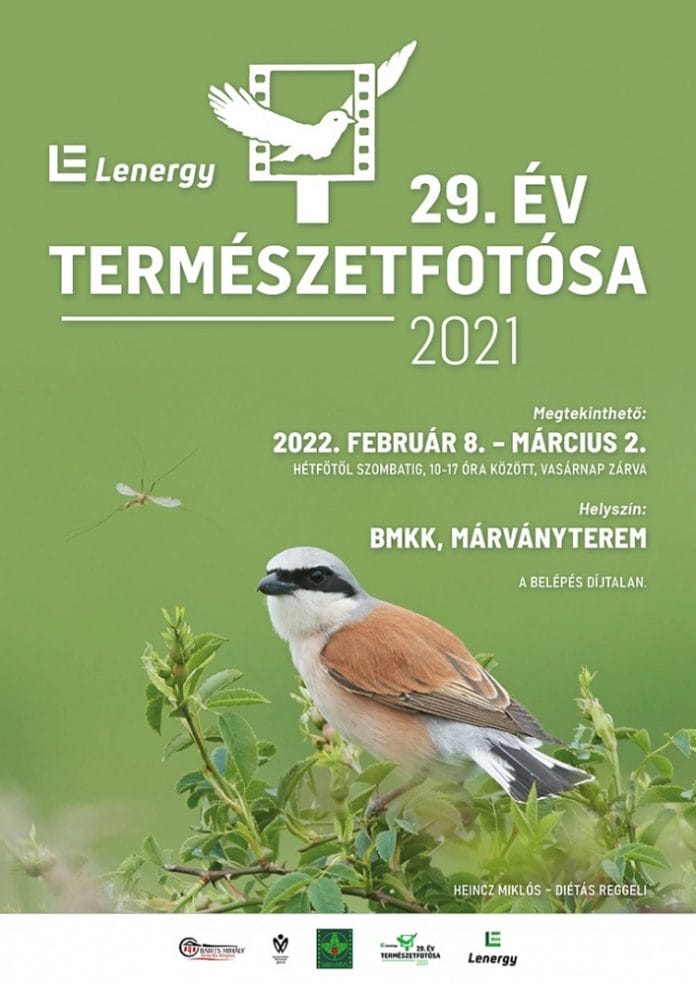 Lenergy – Az Év Természetfotósa 2021. kiállítás Szekszárdon