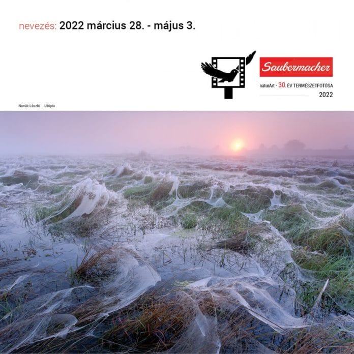 Élőben: Saubermacher- Az Év Természetfotósa 2022 Fotópályázat – zsűrizés 3. forduló