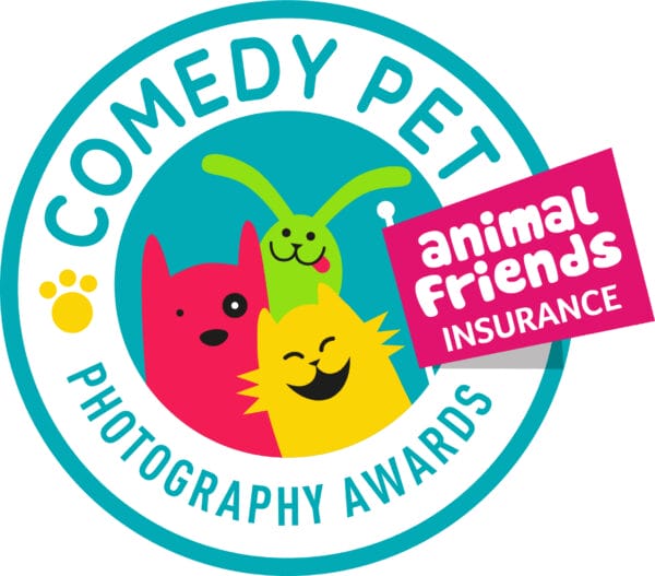 Comedy Pet Photo Awards 2022