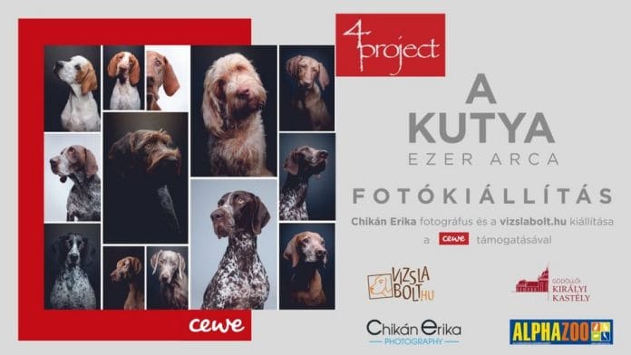 Chikán Erika: A kutya ezer arca fotókiállítás