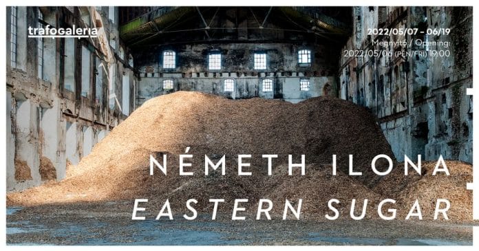 Németh Ilona: Eastern Sugar