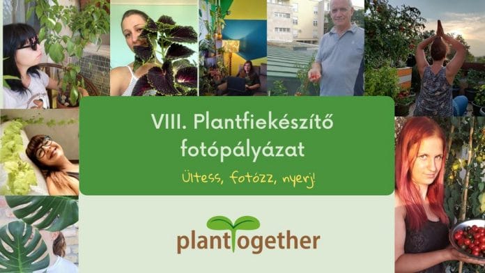 VIII. Plantfiekészítő fotópályázat (PlantTogether)