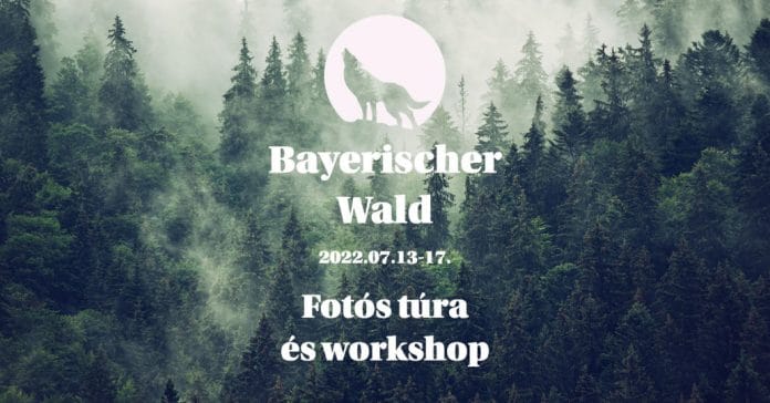 5 napos fotós tábor a Bayerischer Wald nemzeti park területén.
