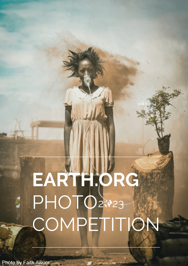 Earth.Org Global Wildlife & Natural World Photography Competition 2023