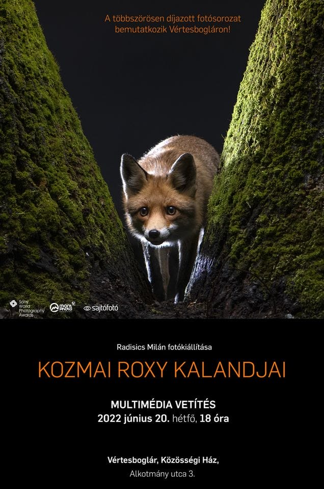 Vetítés és fotókiállítás / A kozmai rókák kalandjairól és a fotós kulisszatitkairól