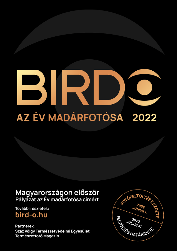 Birdo – Az év madárfotósa pályázat 2022