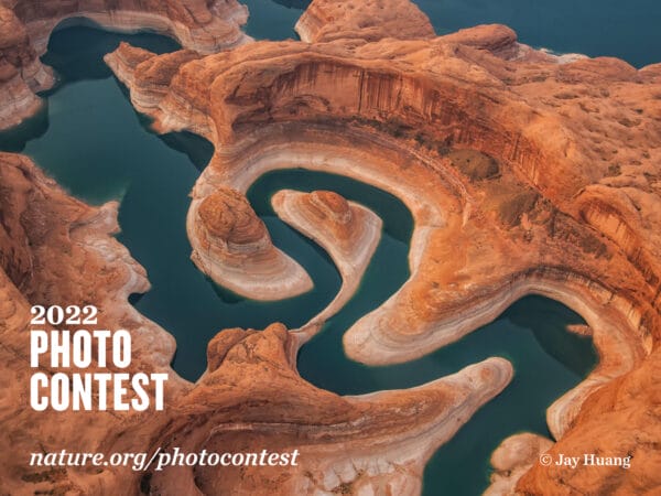 The Nature Conservancy’s 2022 Global Photo Contest