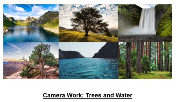 Camera Work: Trees And Water