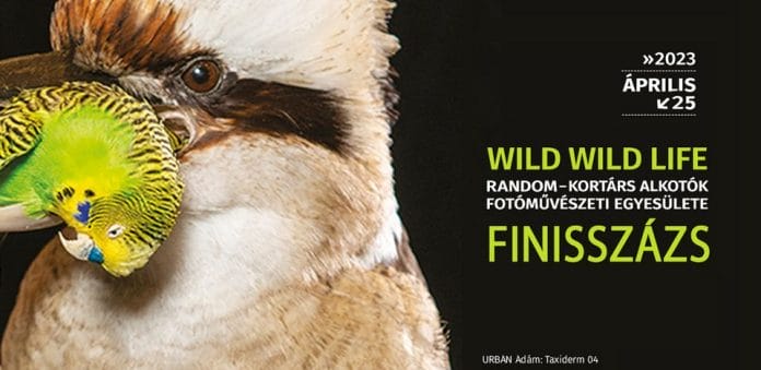 Random: Wild Wild Life Finisszázs