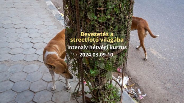Jelentkezés: Bevezetés a streetfotó világába – Intenzív hétvégi kurzus