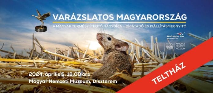 A magyar természetfotó nagydíja – kiállítás