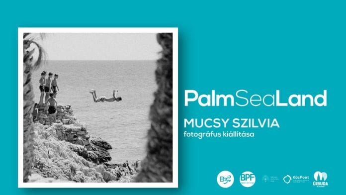 Palm Sea Land | Mucsy Szilvia kiállítása | B32 | BPF – megnyitó