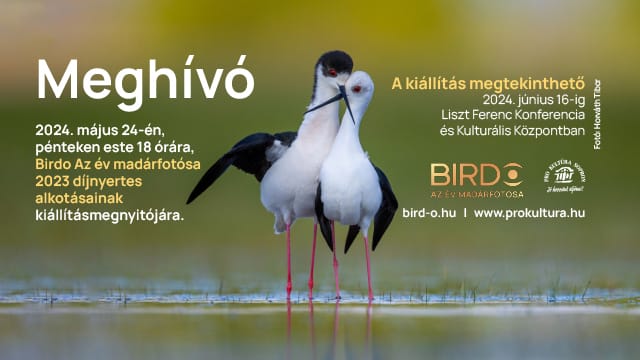Birdo Az év madárfotósa – Fotókiállítás a 2023-as év díjnyertes alkotásaiból – megnyitó